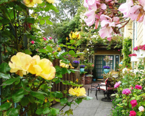 Rose Court Cottage Courtyard